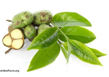 Tea Tree Oil for Cold Sores and Warts?