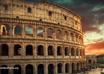 What Is the Gladiator Diet and How Do Vegetarian Athletes Stack Up?