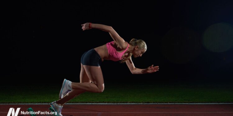 The Muscle Power, Strength, and Endurance of Vegetarians