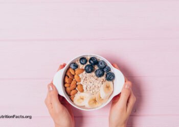 Testing Berries and Nuts, Two of the Best Brain Foods