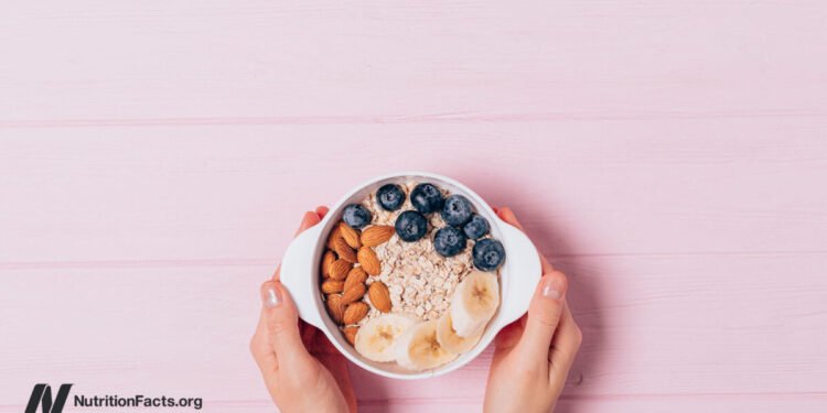 Testing Berries and Nuts, Two of the Best Brain Foods