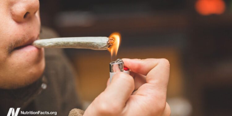 Is Cannabis a Cancer Cure?