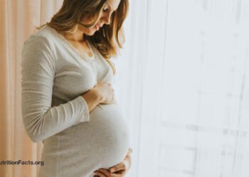 What Is the Best Food for the End of Pregnancy?