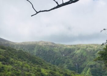 This Rawsome Vegan Life: VISIONS OF EARTH: HAWAI’I