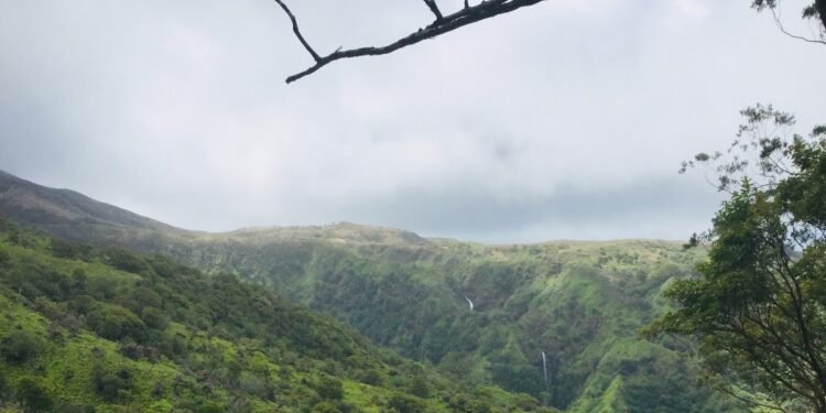 This Rawsome Vegan Life: VISIONS OF EARTH: HAWAI’I