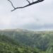 This Rawsome Vegan Life: VISIONS OF EARTH: HAWAI’I