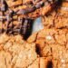 CHEWY DOUBLE GINGER COOKIES with CHOCOLATE