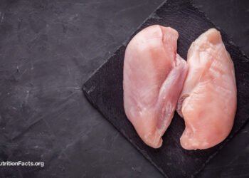 Bacteria and Kosher and Organic Chicken
