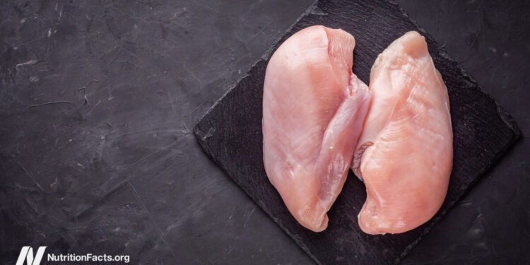 Bacteria and Kosher and Organic Chicken