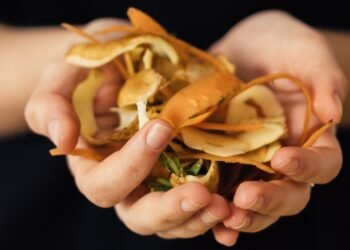 20 Pro Tips to Reduce Food Waste at Home