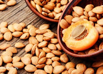 Are Apricot Seeds an Alternative Cancer Cure?