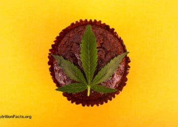 Is It Safe to Consume Cannabis Edibles?