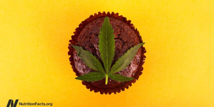 Is It Safe to Consume Cannabis Edibles?