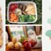 19 Eco-Friendly Kitchen Products For a Greener Home