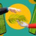 10 Inspiring Eco Experts to Follow on Social Media