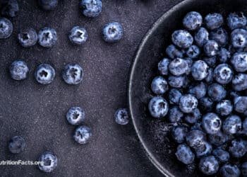 Can Blueberries Help with Diabetes and Repairing DNA?