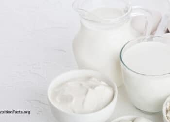 Dairy Consumption and Cancers of the Prostate and Colon