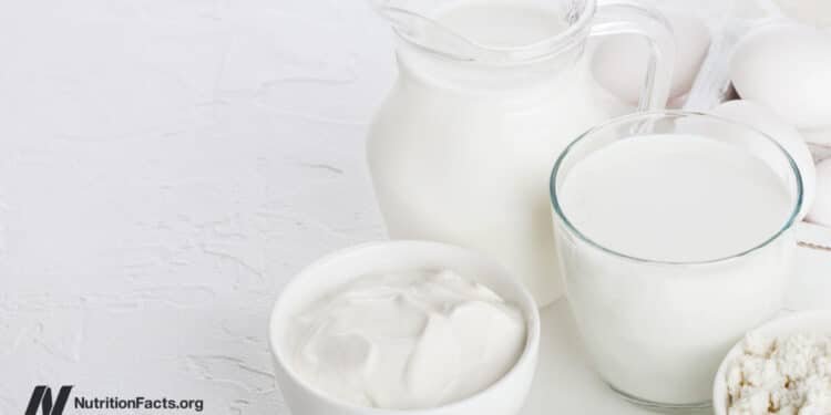 Dairy Consumption and Cancers of the Prostate and Colon
