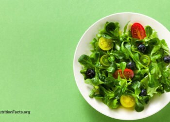 A Test for Orthorexia Nervosa?