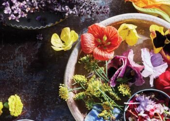 The Home Cook’s Guide to Growing Edible Flowers