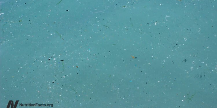 Is Seafood Safe from Microplastic Contamination? 