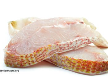 Microplastics in Seafood and Cancer Risk 