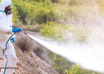 Cannabis and Pesticides