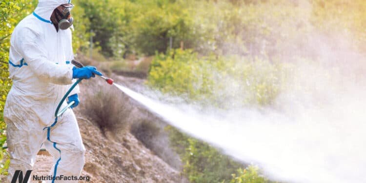 Cannabis and Pesticides