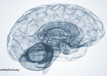 Toxoplasmosis Infection from a Brain Parasite 