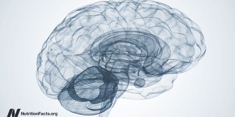 Toxoplasmosis Infection from a Brain Parasite 