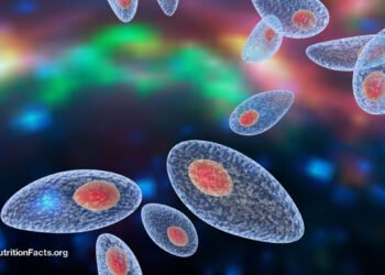 Can Toxoplasmosis Infection of the Brain Have Long-Term Effects? 