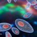Can Toxoplasmosis Infection of the Brain Have Long-Term Effects? 