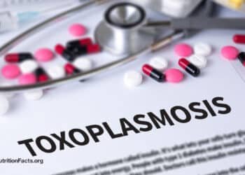Toxoplasmosis Prevention 