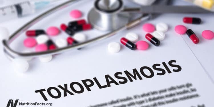 Toxoplasmosis Prevention 