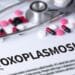 Toxoplasmosis Prevention 