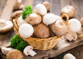 Cut the carbs without compromising on protein when eating plant-based