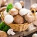 Cut the carbs without compromising on protein when eating plant-based