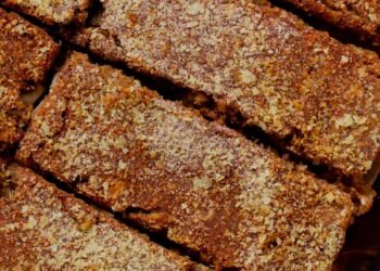 Savory Granola Bars (gluten-free, soy-free, dairy-free, egg-free)