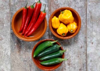 Cook’s Guide to Fresh Chile Peppers