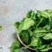 Do the Oxalates in Spinach Cause Kidney Stones? 