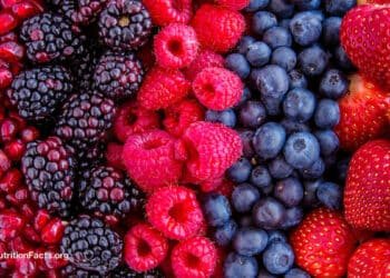 Fighting Inflammation and Treating Osteoarthritis with Berries 