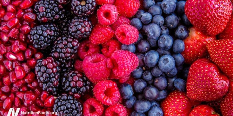 Fighting Inflammation and Treating Osteoarthritis with Berries 