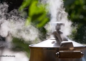 Are Nutrients Preserved by Pressure Cooking?  