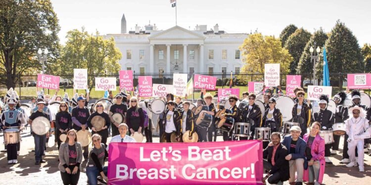 Doctors and Survivors Rally in Fall 2023