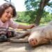 The Best Animal Sanctuaries to Visit for Nose-to-Snout Experiences