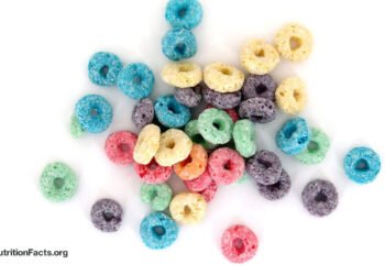 The Political Power of the Food Industry