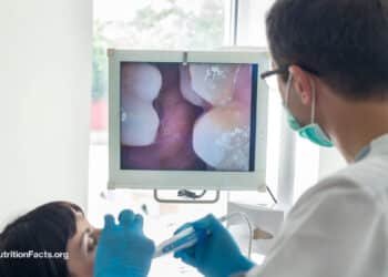 Can We Stop Tooth Decay? 