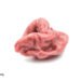 Chewing Gum for Weight Loss? 