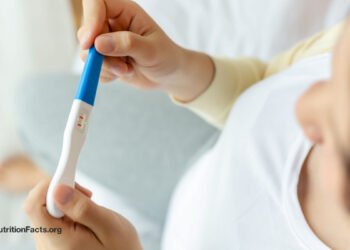 Cannabis on Fertility and Pregnancy
