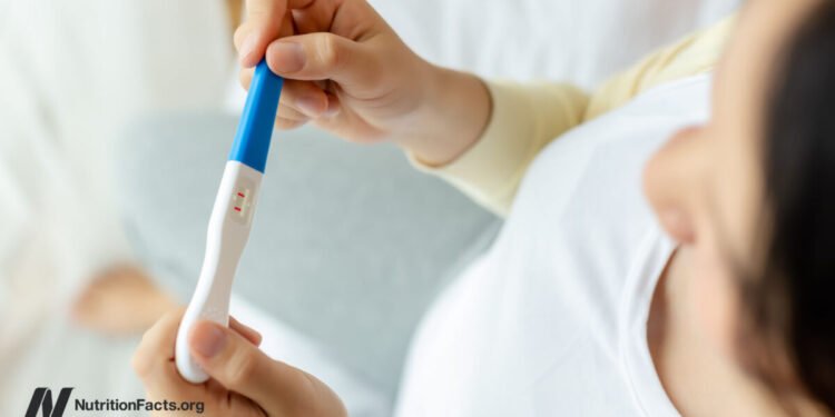 Cannabis on Fertility and Pregnancy